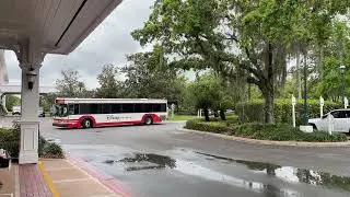 Disney's Animal Kingdom Bus at Grand Floridian Bus Stop