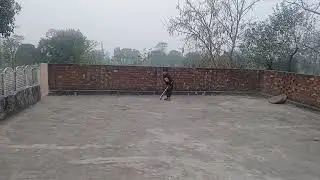 Little Cricketer Muhammad Saad 🏏 | Kids Cricket || 5 Years Old Boy Playing Cricket 🏏 |