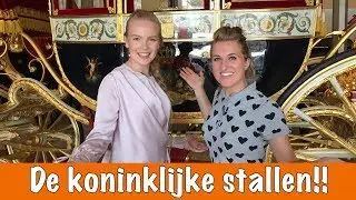 PAARDEN VAN DE KONING! | PaardenpraatTV