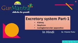 Excretory System | Part-1 | GATE XL | Gurmantra