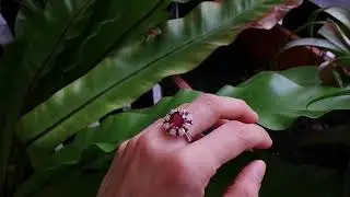 Gem Gardener: 3 04ct Winza Ruby Harlequin Ring