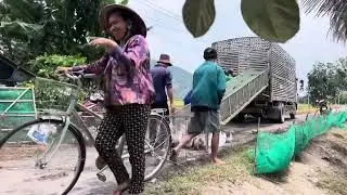 Full Video: Daily Life of Cute Western Girls Raising Ducks on Trucks &ndash; So Interesting!