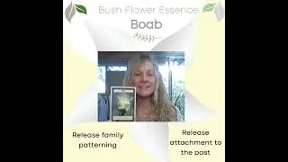 BOAB - Bush Flower Essence - Release Family Patterns, Heal Ancestral Trauma & Emotional Ties