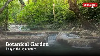 Exploring Auburn Botanical Gardens | Hidden Gem in Sydney | Family Picnic & Nature Walk