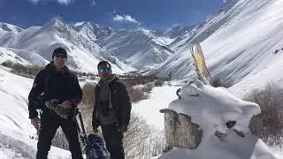 Searching For The Snow Leopard