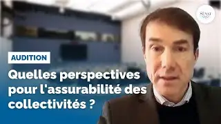 Quelles perspectives pour l'assurabilité des collectivités ?