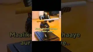 Funny memes pages