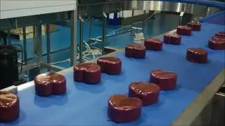 Integrated Enrober and Cooling Tunnel