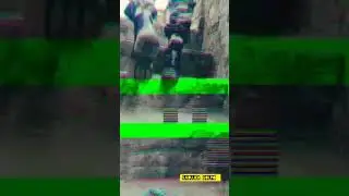 Wbp I Wbp WhatsApp status | Wbp 2024 #wbp #shorts #wbpstatus #wbp2024