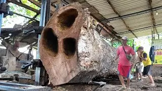 Super scary!! curved trembesi wood battle with band saw blade at sawmill