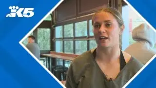 Rough and Tumble hosts college soccer recruiting insights from Reign FC, UW stars