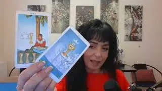 GEMINI FEBRUARY 2026 1ST THRU 15TH  -  SHAPING YOUR DESTINY!