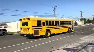 Bus 217 and Bus 227 in Rialto