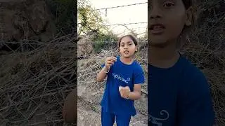 Tukur Tukur #gujaratijalsa #youtubeshorts