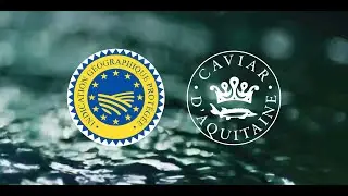 L'IGP Caviar d'Aquitaine