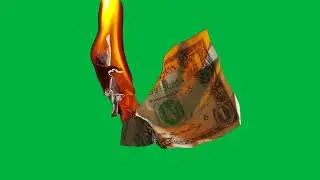 Green Screen &ndash; Dollar Bill on Fire   Bu
