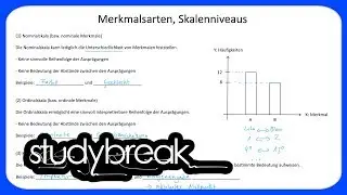 Merkmalsarten, Skalenniveaus | Statistik