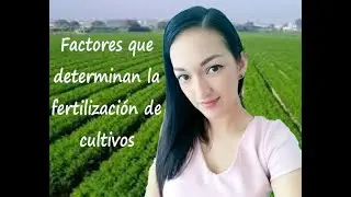 Generalidades de la fertilización