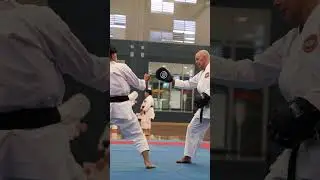 Karate in Action &ndash; Unleash Your Power!