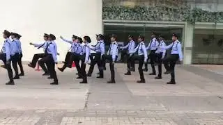 Terrier Security services
