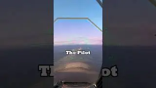 Why a U.S. F-14 SHOT DOWN a U.S. RF-4 Phantom
