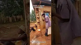 lost 🤣 foodking of dog 🐕 TikTok video funny Rwanda 😁 challenge 😁