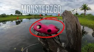 🚨 PESCARIA de TRA&Iacute;RAS na Superf&iacute;cie com a MONSTER Z60 e Ratinhu&mdash; Essa ISCA N&atilde;o Pode Faltar!🔥