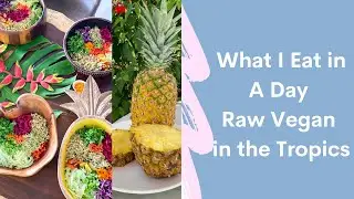 What I Eat in A Day Raw Vegan in the Tropics
