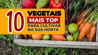 Horta em Casa: 10 vegetais perfeitos para Iniciantes cultivar em casa! #hortaemcasa #hortaorgânica