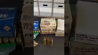 Ammo Haul - May 2025