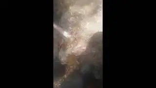 fire ready vid