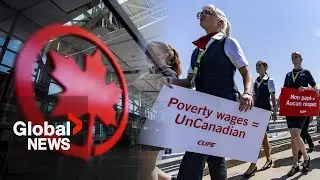 Air Canada flight attendants officially on strike, airline's flights cancelled