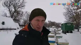 30 ноября - Предновогодний осмотр зимовки пчёл. 
