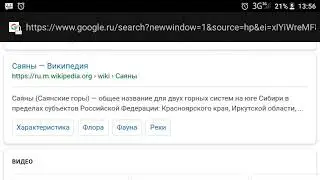 365 (310) Лимонад Саяны