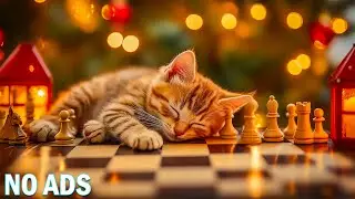 Soothing Relaxing Music to Help Cat Sleep🐈 Relaxing Music for Cat🐈 Healing Music for Cat