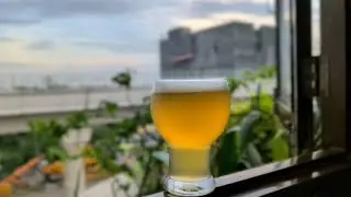 Belgian Wit Homebrewed ( Ghar pe banaye Belgian Wheat beer)