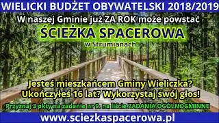 Ścieżka Spacerowa w Strumianach - Wielicki Budżet Obywatelski 2018