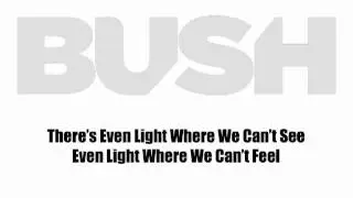 BUSH 