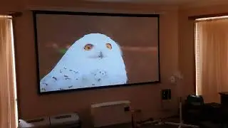 Toptro x7 projector. during daylight with blinds shut.