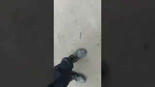 Eastern Security Network in Training