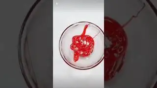 Testing close up toothpaste Slime 🤔