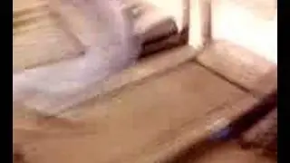 stuntmenn