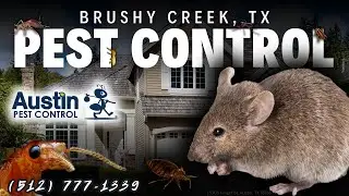 Brushy Creek, TX Pest Control Service (512) 777-1339 - Austin Pest Control