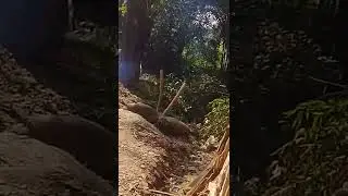 Jaan Ki Katha ped card Se Hui