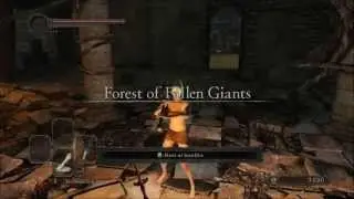 Dark Souls 2, No Death Run. no shield, magic or summons