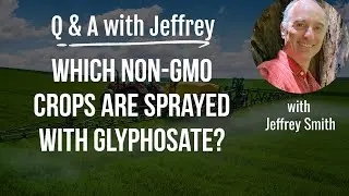 Q & A with Jeffrey Smith:  WHICH NON-GMO CROPS ARE SPRAYED WITH GLYPHOSATE AND WHY?