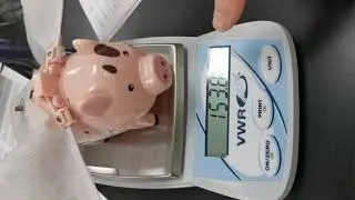 Flying Pig Lab