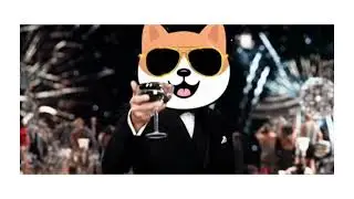 HypeDog challenges $PEPE and $BRETT! 🐕🔥