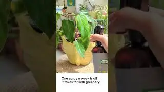 The All-In-One Solution for Fast, Fresh Growth!