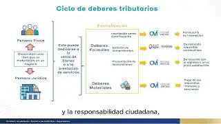 Tax Obligations Cycle